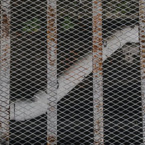 Ilustrasi Bangunan dengan Wiremesh