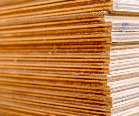 triplek tebal namanya